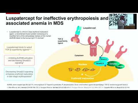 New Therapeutic Approaches for Lower-Risk Myelodysplastic Syndromes | Dr. Bader Alahmari (17Feb2024)