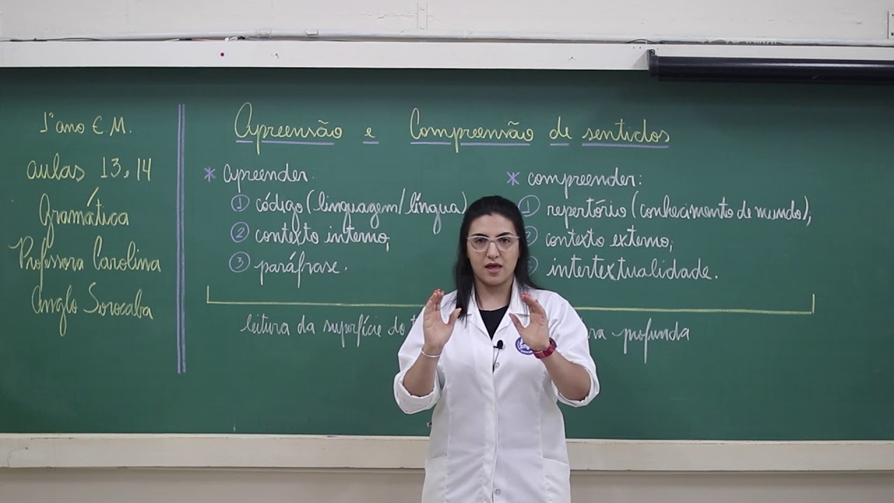 Apreensão e Compreensão de Sentidos 1º Série EM