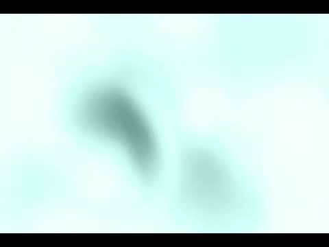 HAISENBERKK_LIVE; 1-3MeteR Abstand:der Film