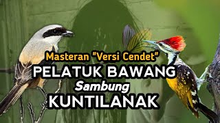 Download lagu PELATUK BAWANG SAMBUNG TENGKEKBUTO & KUNTI |MASTERAN CENDET JUARA TERBARU 2022 mp3
