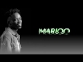 Marioo _ Inatosha ( Official Video Lyrics)