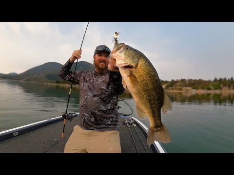 Catching BIG BASS On Clearlake! + Frog Fishing Tips For Beginners!