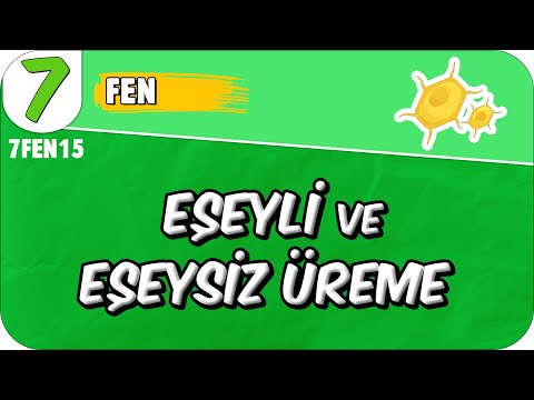 Eşeyli ve Eşeysiz Üreme 📗 7. Sınıf Fen #2025