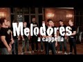 Melodores A Cappella - Never Gonna Leave This ...