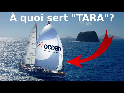 Quelle est l'utilité scientifique de l'expédition "Tara Océans", bateau mission fondation, quoi sert
