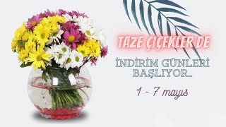 Çiçek Evim - Taze Çiçekler de İndirim Günleri Başlıyor...
