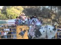 Minimi montoya vs Amigo de california 