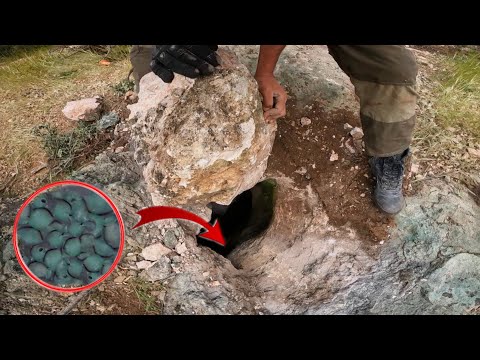 Deciphering the Mysterious Cave :⁉️✅{Treasure Hunt Adventure}