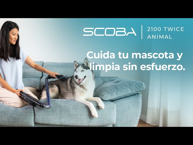 Cecotec Scoba 2100 Twice Animal Akku-Besenstaubsauger, 210 W, Schwarz video