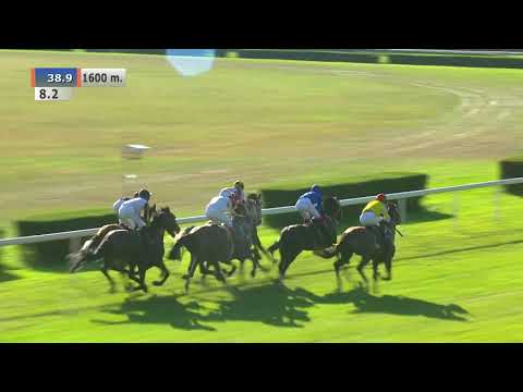 16.08.2020 (D24; G7; Tor: 2,5; 28°C)