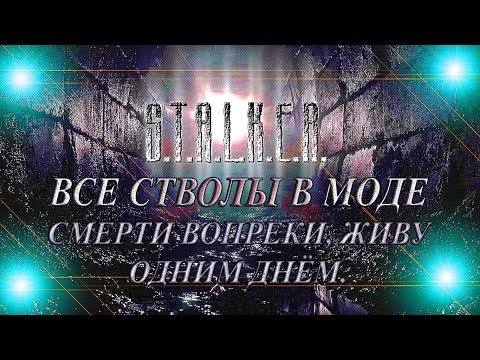 ВСЁ ОРУЖИЕ В STALKERE MOD СМЕРТИ ВОПРЕКИ, ОДНИМ ДНЁМ ЖИВУ.