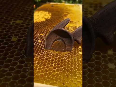 hanny #shortvideo #shorts #food #hanny #hashtags
