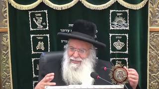 פרשת תזריע-פסח תשע''ט שיעור הזוהר הגדול בתבל מפי שר בית הזוהר המקובל ר' בניהו שמואלי שליט"א