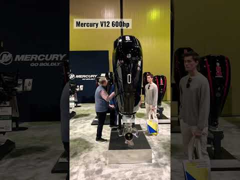 ~$80,000 Mercury Verado V12 600hp outboard #shorts