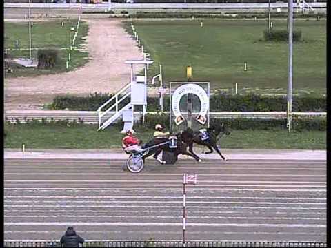 PROVA DI QUALIFICA   del 16 MARZO 2016  Mt.1600