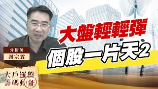 大盤輕輕彈 個股一片天2 (圖)