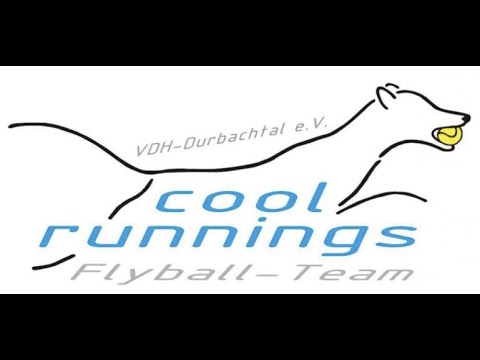 DFC Flyball Turnier Durbach