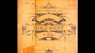Assemblage 23 - Document (Schreibgeschutzt Remix)