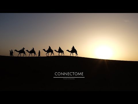 Stive Morgan ~ New Asia - Zov Predkov (Stive Morgan Remix)