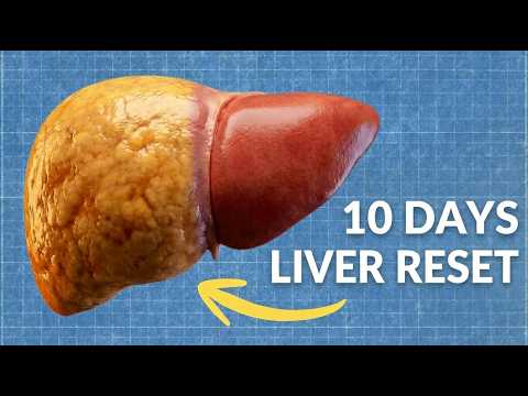 How To Reverse A Fatty Liver & Drop Visceral Belly Fat In 10 Days