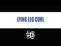 Lying Leg Curl | PhysiqueDevelopment.com