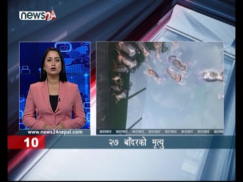 AFTERNOON NEWS FATAFAT- NEWS24 TV