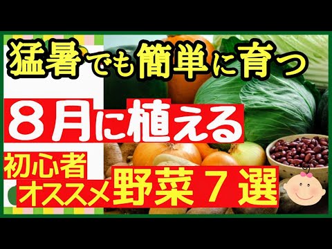 8月に菜園または温室に何を植えるか