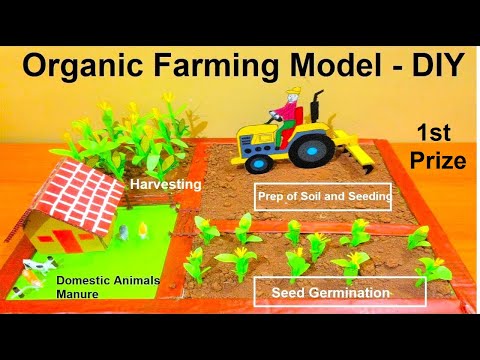 organic farming eco friendly agriculture model inspire award science project diy howtofunda