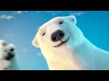 Coca Cola Polar Bear Commercial