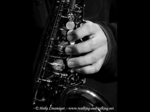 White Goose Walkin - Sandor Rigo & The Markus Gaudriot Trio