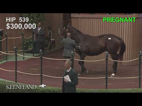 Remembered sells at Keeneland November 2018