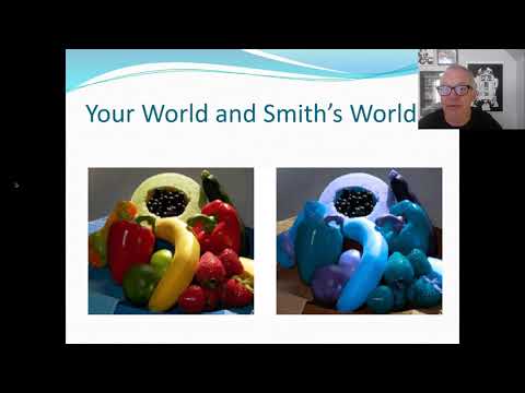 Inverted Qualia Arguments Against Funcitonalism