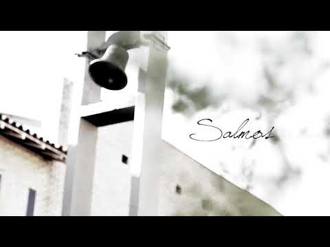 Salmo 26 | Salmo do dia 12/06/2020