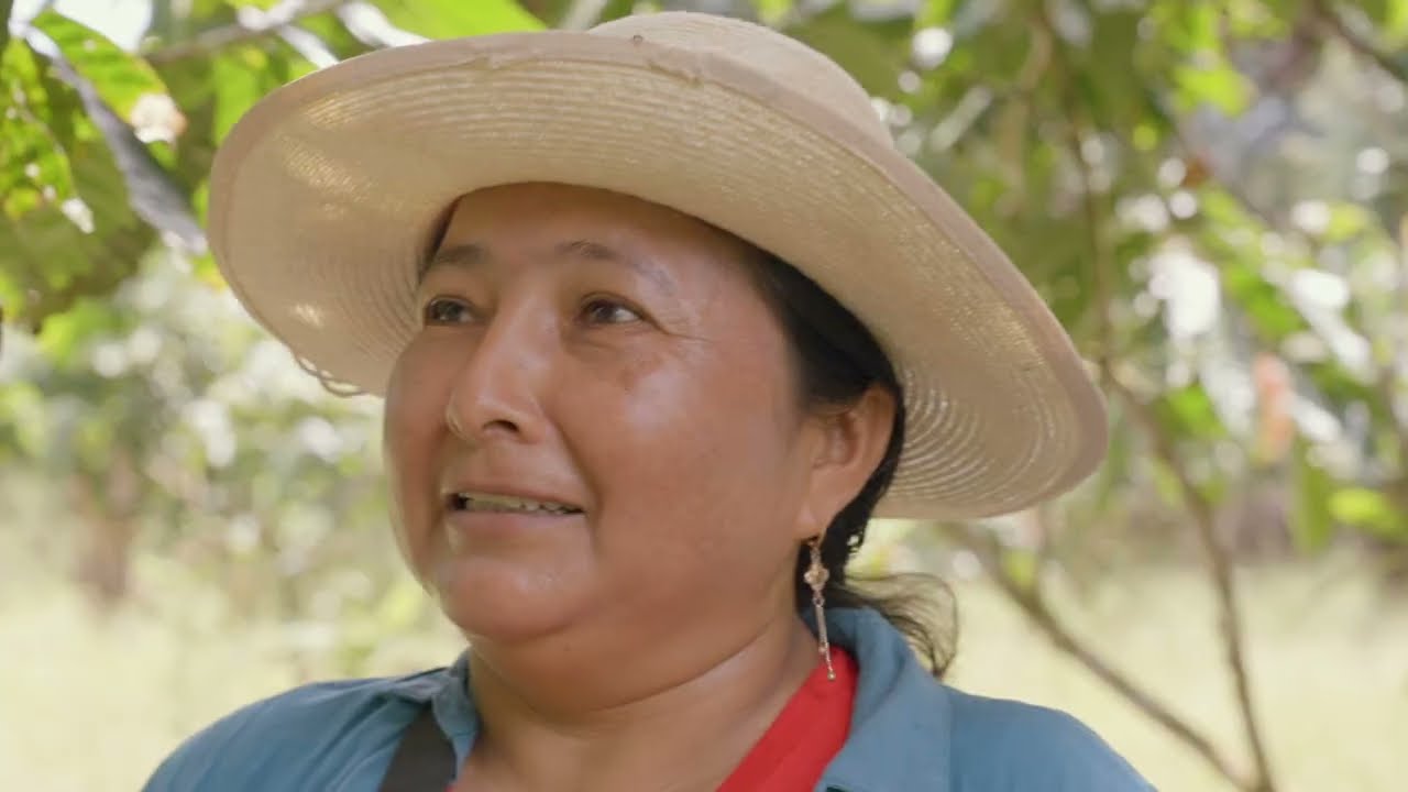 El cacao que está transformando vidas en la Amazonía colombiana