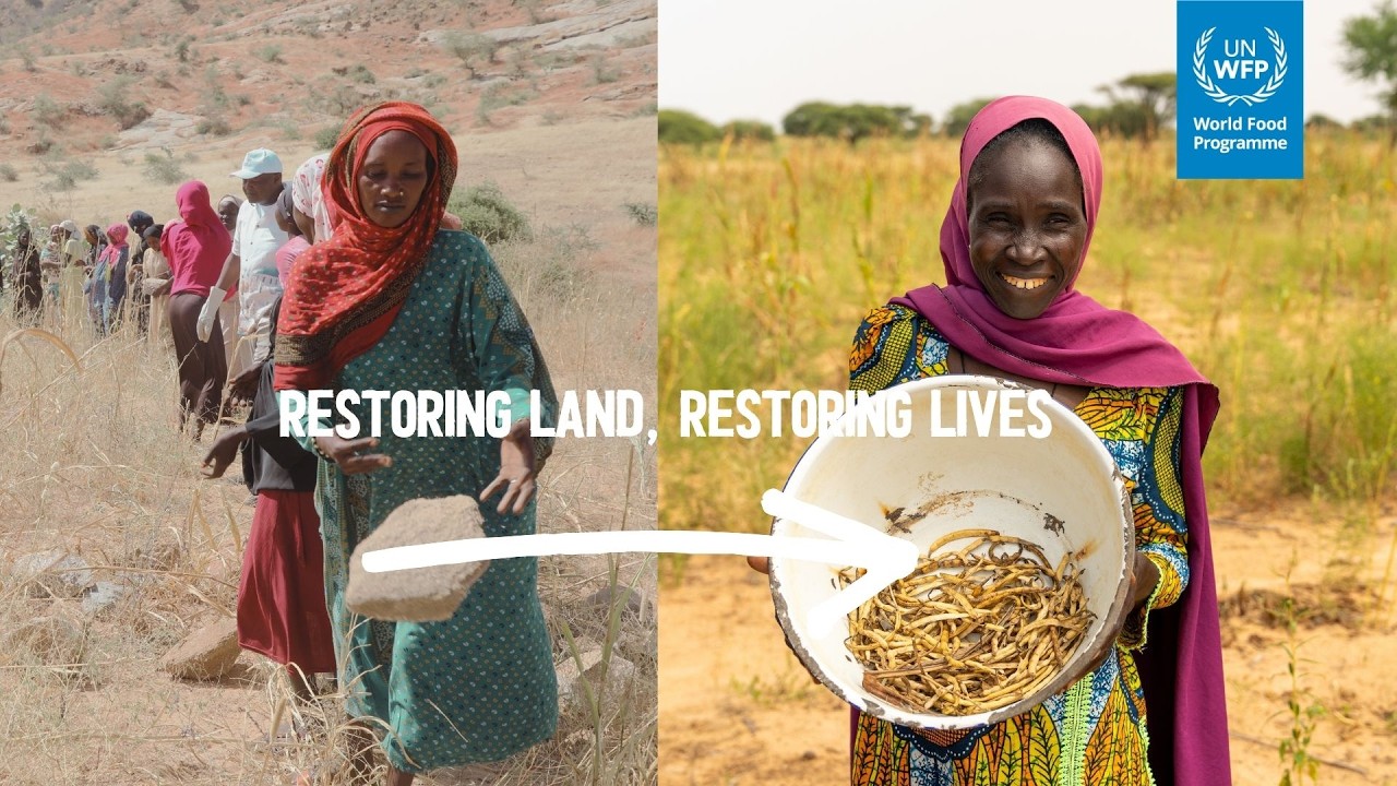 How Food Assistance for Assets Is Transforming Communities | WFP Sahel Resilience