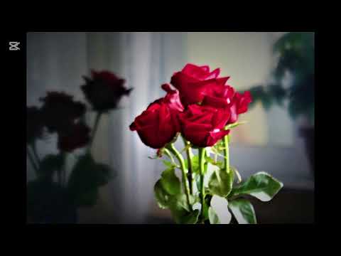 Ady Endre  - Ha szeretlek 