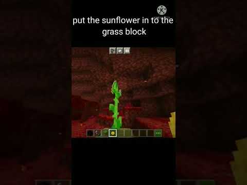 How to find nether fortress easy in Minecraft