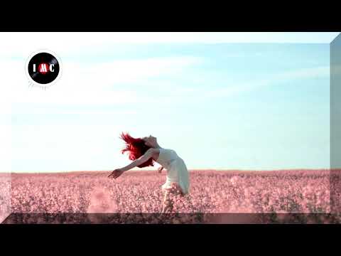 Why Why Why ~ Aldenmark Niklasson