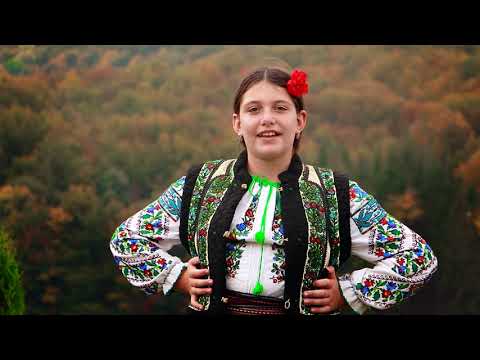 Gabriela Prejvara-   Fratiorul meu