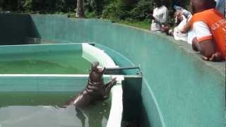 Don't Feed the Animals!