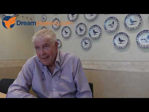 Video Gebr. Van Beveren - Hokvoorstelling