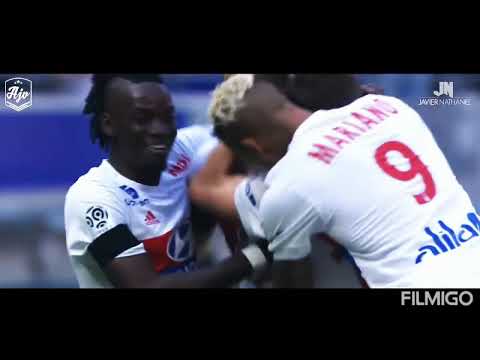 Nabil Fekir  ☆2018/2019☆ best goals ,assists and passes