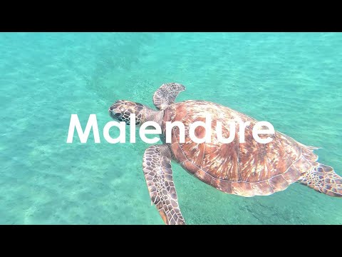 Plage de Malendure, Guadeloupe - 4K UHD - Virtual Trip