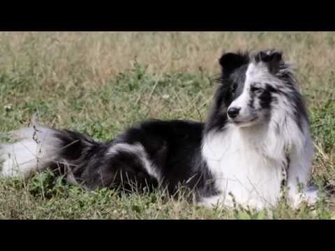 Aenon Agility: Welcome Home