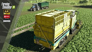 FS25 | Realistic Graphics Gameplay | Oxbo harvesting spinach |