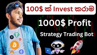 1000% Profitable Spot Trading Bot Sinhala