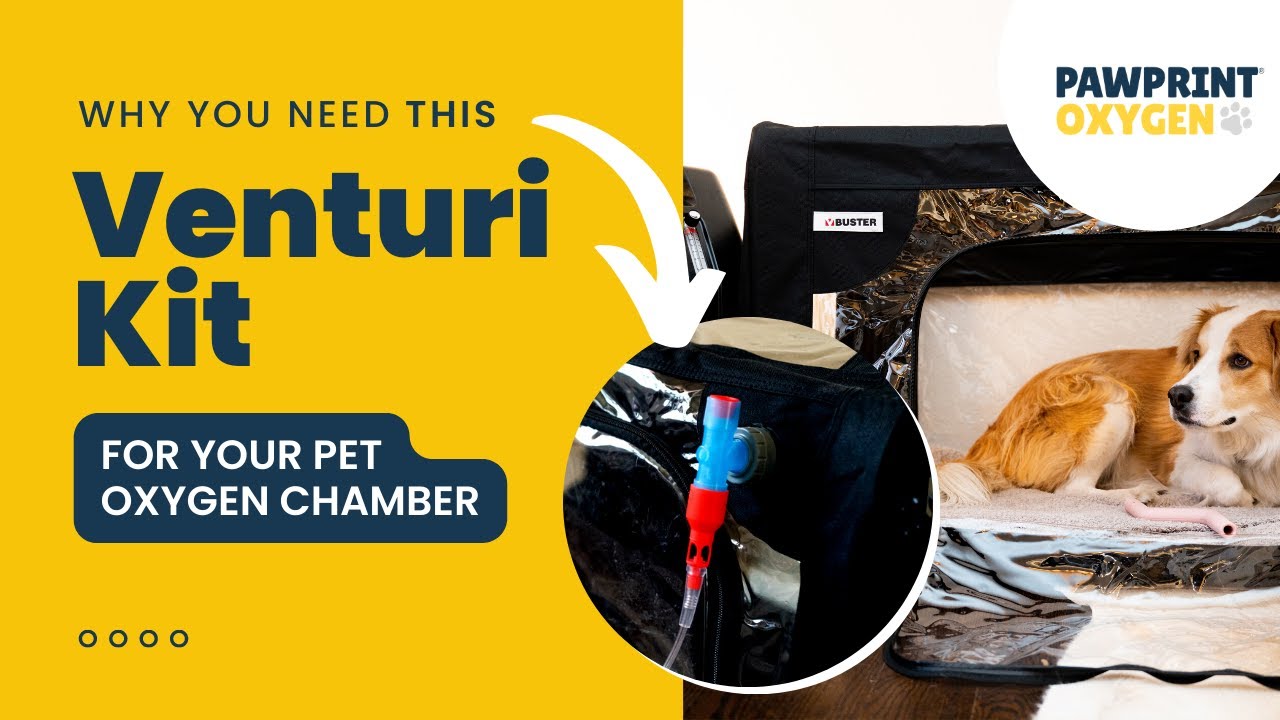 Everything You Need To Know About The Venturi Kit