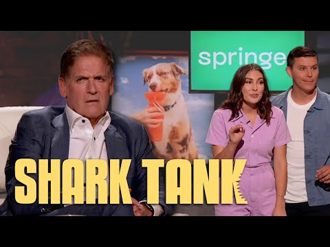 Springer Shark Tank Pitch
