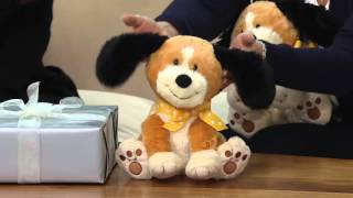 Doggie in the Window or Do Your Ears Hang Low Plush Animated Puppy on QVC