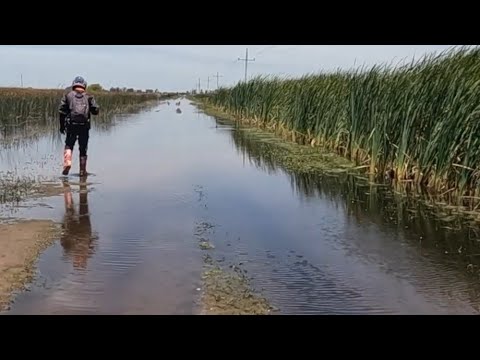 Salamone Off Road  Día II Alberti / Carlos Casares